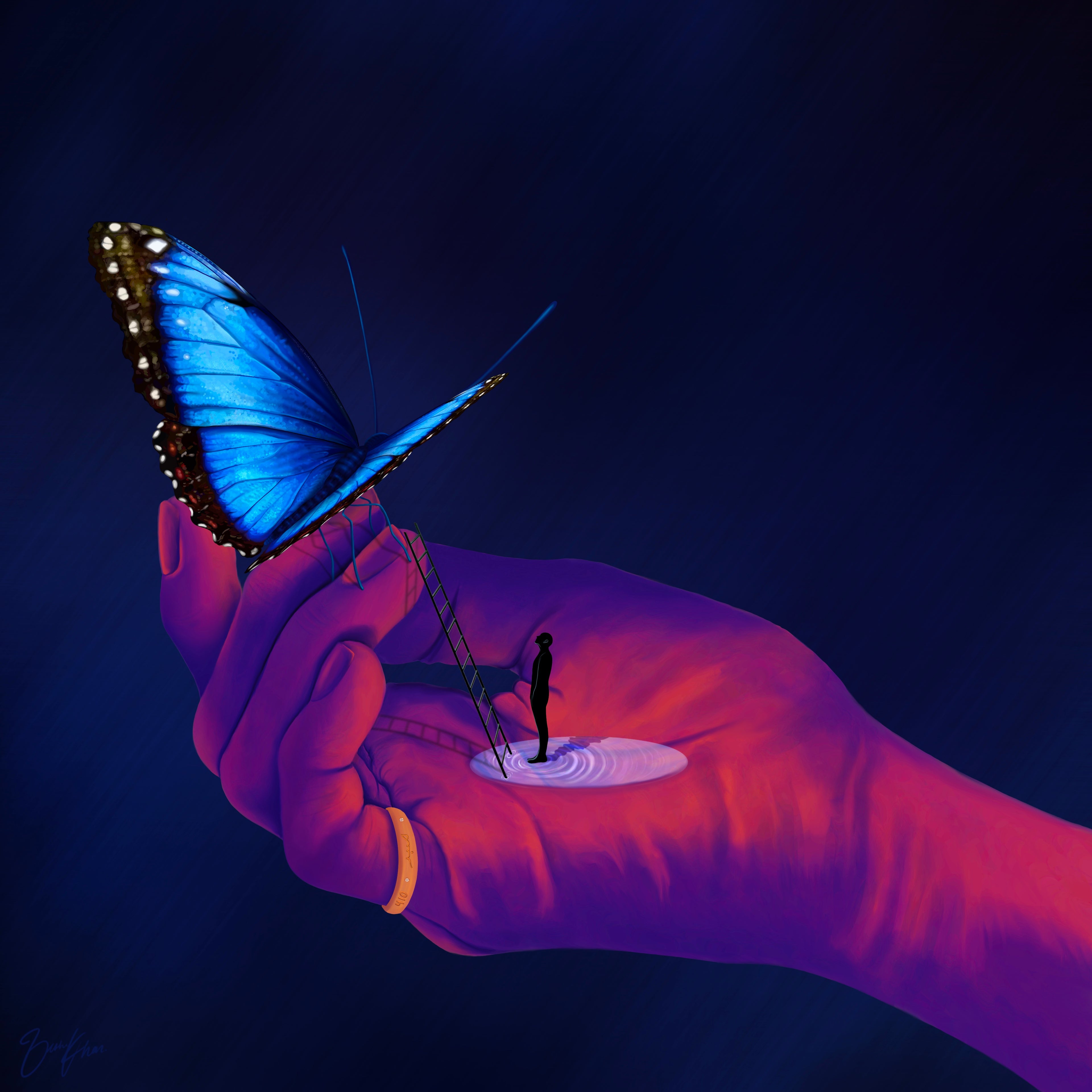 Happiness Is A Butterfly ￼